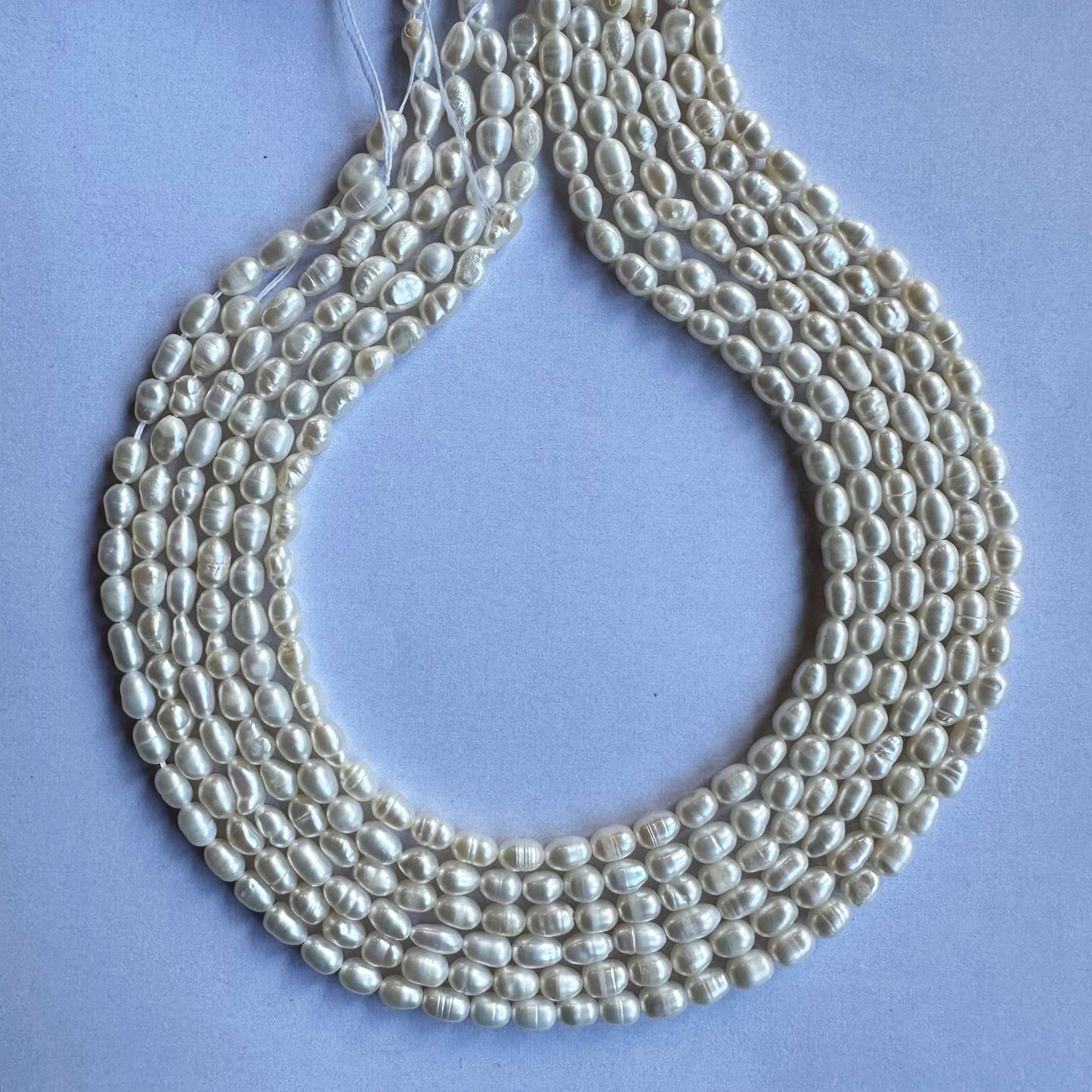 Close-up of Fresh Water Pearl beads reveals their refined polish and soft, creamy white glow.