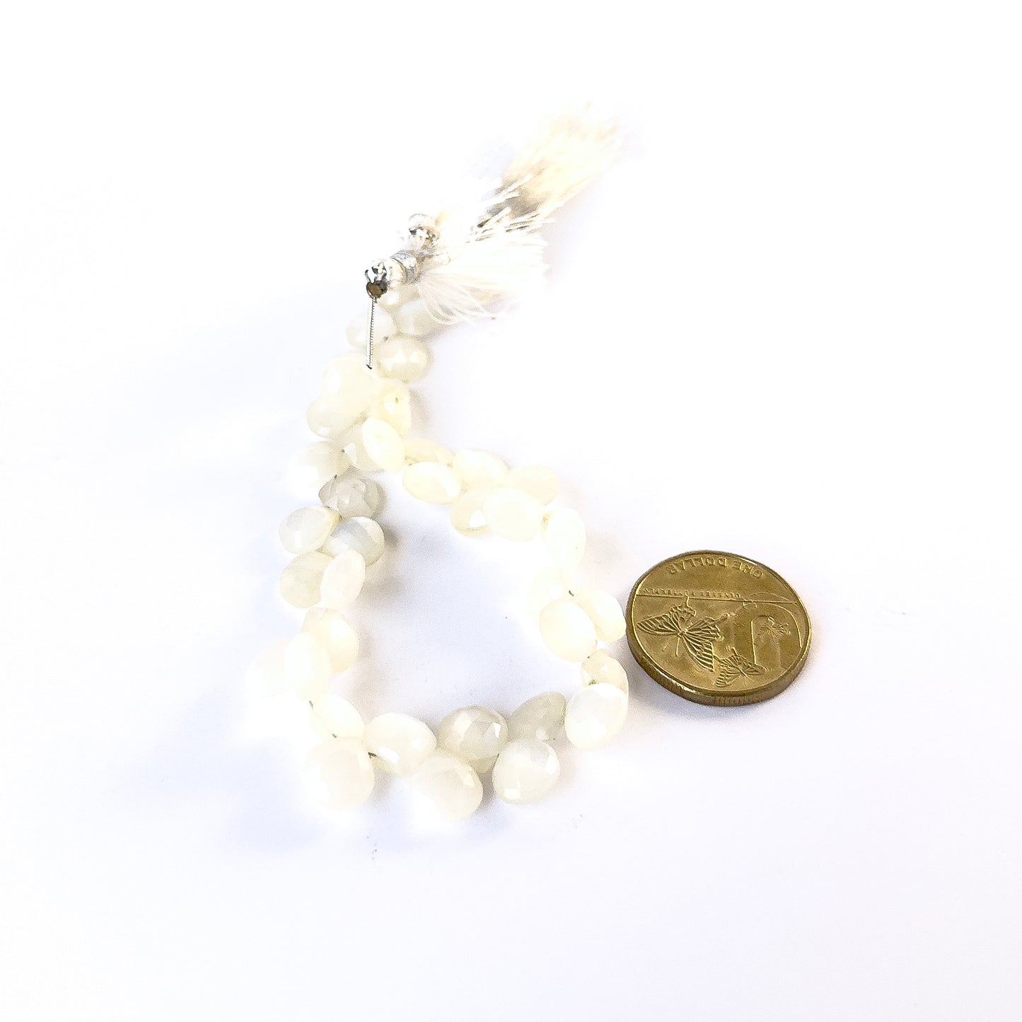 A coin is placed near delicate strands of White Rainbow Moonstone faceted briolette beads for scale.