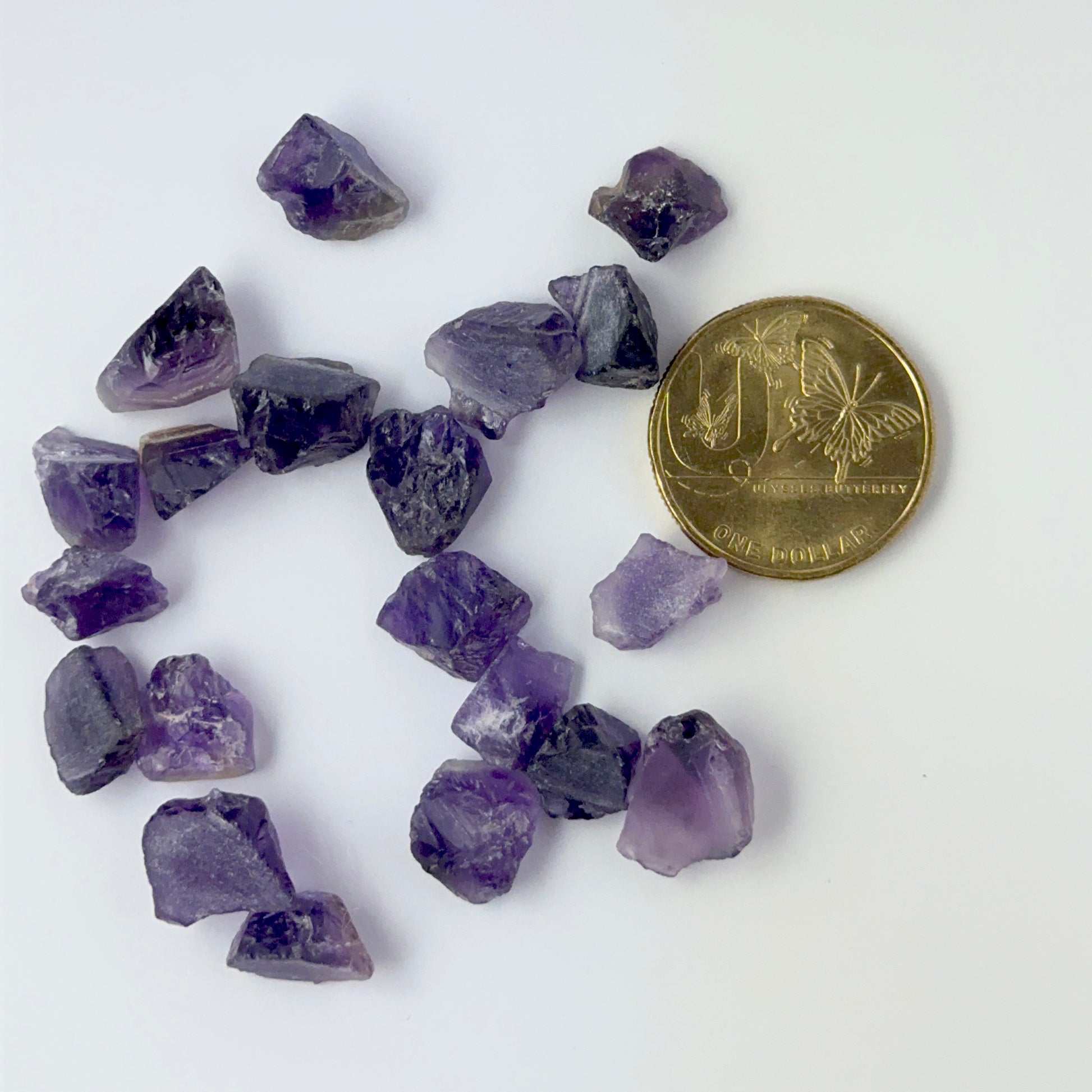 A coin is place near delicate pieces of Amethyst rough for scale.