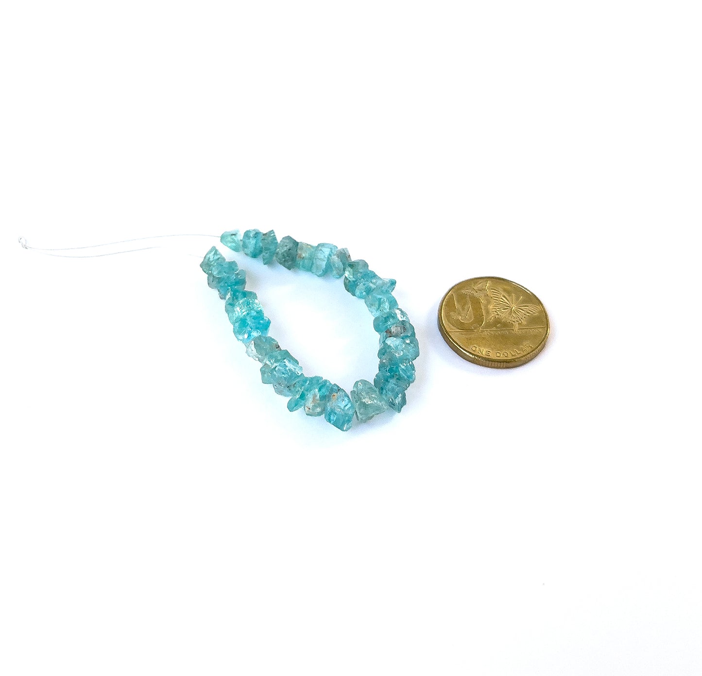 A coin is placed near delicate pieces of Apatite undrilled rough for scale.