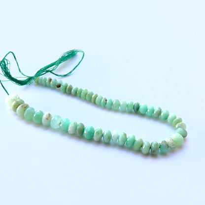 Chrysoprase faceted rondelle beads aligned on a strand highlighting clarity, shine and consistent shaping.