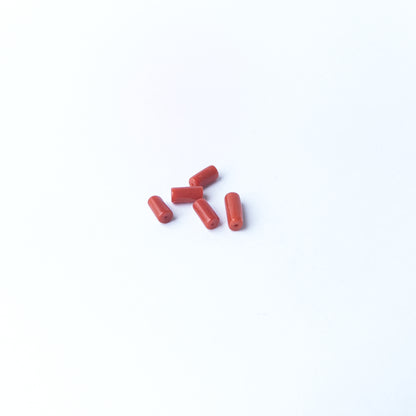 Smooth Italian Coral gemstone beads arranged neatly, offering classic colour for handmade jewellery components.