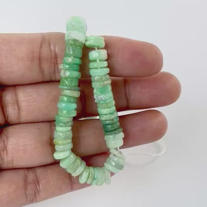 Chrysoprase | Smooth Wheel | 7-7.5mm Bead Size | 20cm Strand Length
