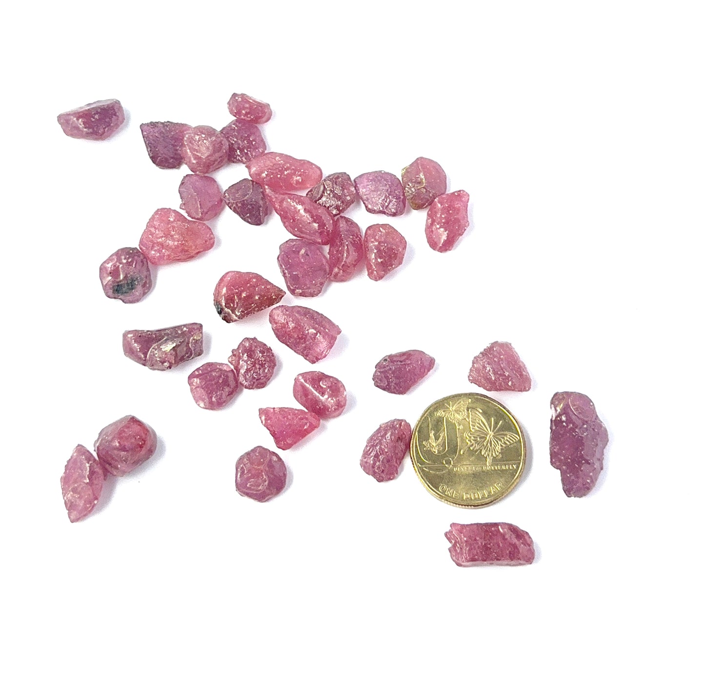 A coin is place near delicate pieces of Ruby rough for scale.