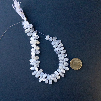 A coin is placed near delicate strands of White Rainbow Moonstone faceted briolette pear beads for scale.